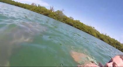 Μία δυσάρεστη… γνωριμία! (video)