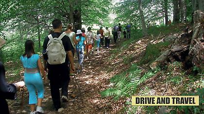 Οι προοπτικές και οι δράσεις του αγροτουρισμού (audio)
