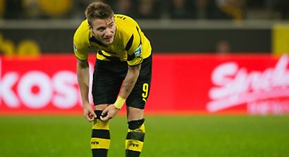 Όλοι ψήνονται για Ιμπόμπιλε