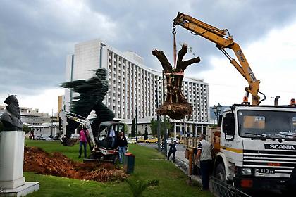 Ελιές από την Κορίνθου – Πατρών, στην… Αθήνα