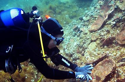 Νέα αρχαιολογικά ευρήματα στη Δήλο