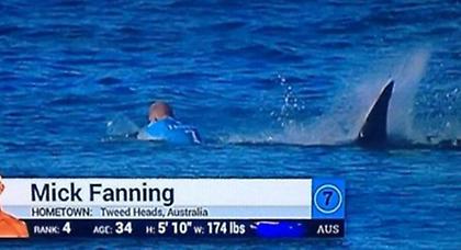 Επίθεση καρχαρία σε επαγγελματία σέρφερ! (video)