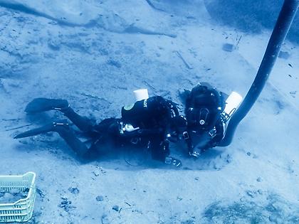 Δεν είχε μόνο τα μάρμαρα – γλυπτά του Παρθενώνα ο «Μέντωρ»