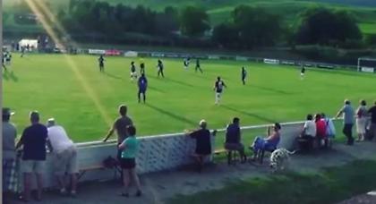 Δεν είναι ποδοσφαιριστής, είναι ΠΡΑΓΜΑΤΙΚΟ σκυλί! (video)