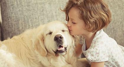 Αν έχεις σκύλο, ξέρεις…