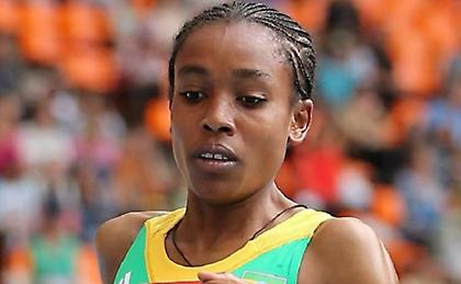 Υπόθεση… Αιθιοπίας