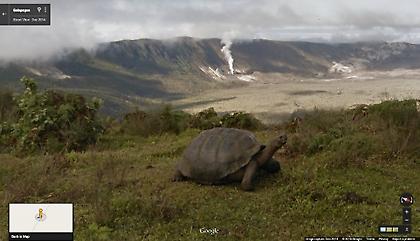 Περπατώντας στα χνάρια των γιγάντων των Γκαλαπάγκος (video)