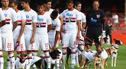 Είσοδος στο γήπεδο με σκυλάκια, αντί για παιδάκια (video)