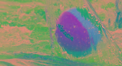 Δύσκολη κλήρωση για την Εθνική γυναικών