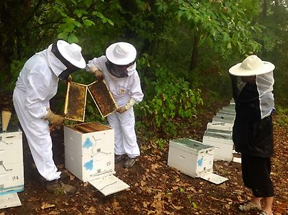 Η γη του Αριστοτέλη πρωταγωνίστρια διεθνώς