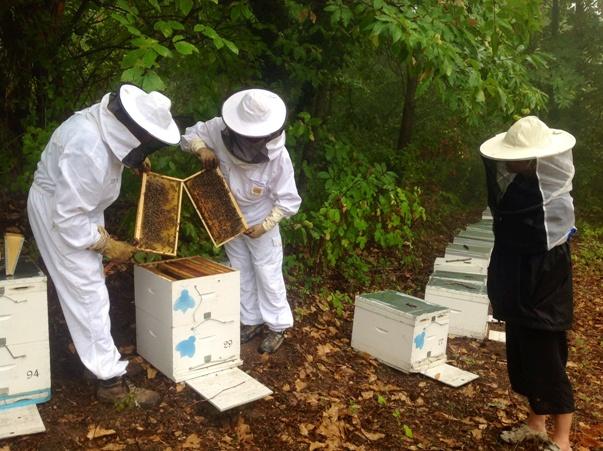 Η γη του Αριστοτέλη πρωταγωνίστρια διεθνώς
