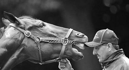 Φρενίτιδα για ένα… άλογο στην Αμερική
