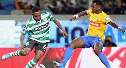 Τα «λιοντάρια» είναι μόνο για την κορυφή