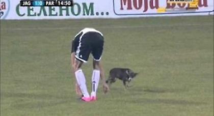 Αυτός ο «παίκτης», δεν πιάνεται (video)