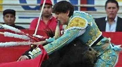 «Όλε» για τον ταύρο που έσπασε τα μούτρα ταυρομάχου (video)
