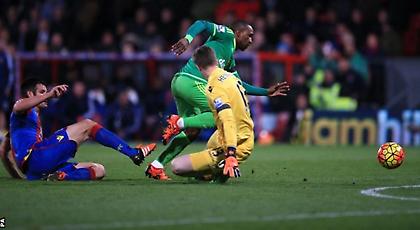 Έγιναν «αγριόγατες»