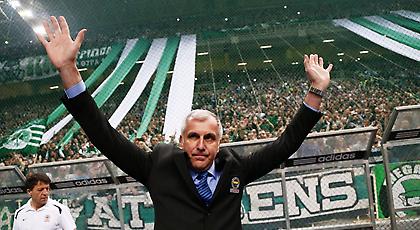 Ο Ομπράντοβιτς υποφέρει από τον Παναθηναϊκό