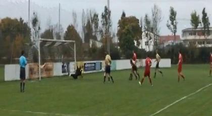 Όλοι οι… άμπαλοι μαζεμένοι σε ΕΝΑ video!