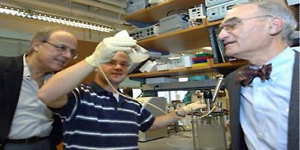 «Eλληνικά» βιοκαύσιμα ερευνούν στις ΗΠΑ