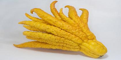 Πέντε εξωτικά εσπεριδοειδή με περίεργη εμφάνιση και ιδιαίτερη γεύση