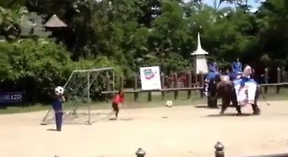 Ελέφαντας πανηγυρίζει έξαλλα… γκολ που πέτυχε! (video)