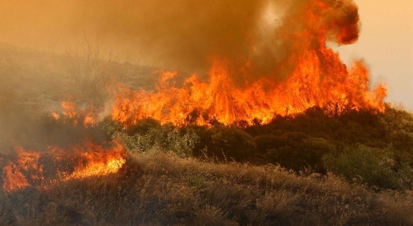 Μεγάλη πυρκαγιά κατακαίει δασική έκταση στη Χάλκη Νεμέας