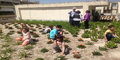 Πράσινες στέγες σε 13 σχολικά συγκροτήματα της Αθήνας