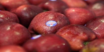 Η Zagorin γιορτάζει 100 χρόνια με χυμό και... τσιπς μήλου