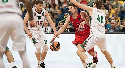 Γαλλική… αρκούδα!