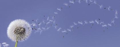 Πλήρης έλεγχος και απολύμανση συστήματος κλιματισμού VW