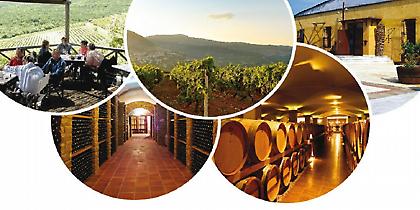 «Ανοιχτές Πόρτες» στα οινοποιεία Βορείου Ελλάδος