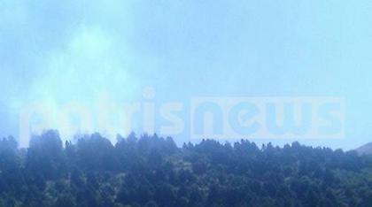 Πυρκαγιά σε δύσβατο σημείο σε χωριό της Αρχαίας Ολυμπίας