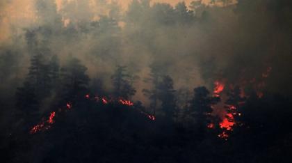 Οι Τούρκοι διαφώνησαν για τον τόπο προσγείωσης των αεροπλάνων και δεν έστειλαν βοήθεια στην Κύπρο