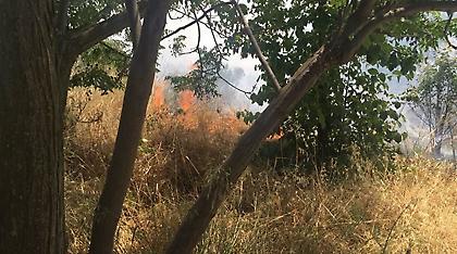 Φωτιά στο κτήμα Καρέλλα δίπλα στο Άλσος Συγγρού
