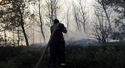 Υπό μερικό έλεγχο η πυρκαγιά στο Ν. Μαρμαρά Χαλκιδικής