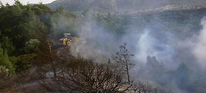 Πυρκαγιά σε δασική έκταση στη Στεφάνη Βοιωτίας