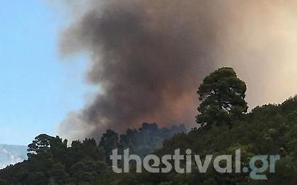 Έσβησε η φωτιά στον Ν. Μαρμαρά Χαλκιδικής