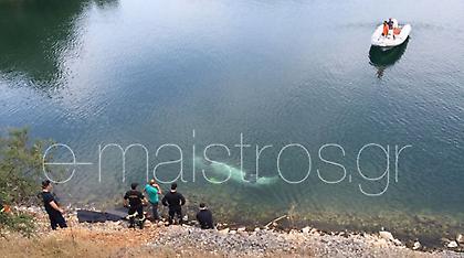 Ανιψιά του δημοσιογράφου Γιώργου Γεραφέντη η 29χρονη που σκοτώθηκε - Η δραματική έκκλησή του