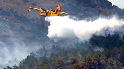 Δερβενοχώρια: Η καταρρακτώδης βροχή περιόρισε τα πύρινα μέτωπα