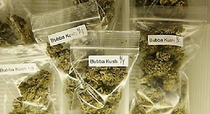 Βολιβία: Οι αρχές κατέσχεσαν 1,5 τόνο κάναβης!