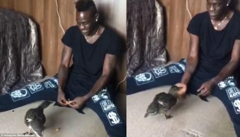 Ο Μπαλοτέλι και οι πάπιες του! (video)