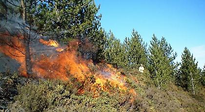 Πυρκαγιά σε δασική έκταση της Σάμου