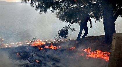 Περίπου 150 στρέμματα δάσους εκτιμάται ότι έκαψε η φωτιά στον Πάρνωνα