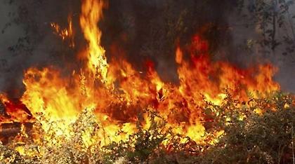 Φωτιά στη Λέρο - Έκκληση του δημάρχου για εναέρια μέσα