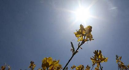 Μέχρι 36 βαθμούς η θερμοκρασία την Τρίτη και δυνατοί άνεμοι