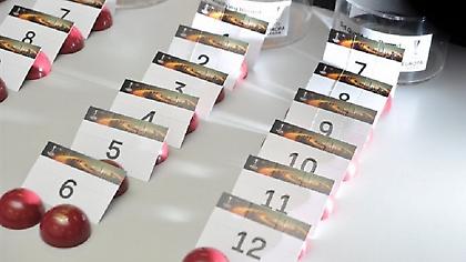 Στους αδύναμους η ΑΕΚ – Οι υποψήφιοι αντίπαλοί της