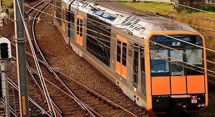 Τρόμος σε τρένο: Νεαρός ταξίδευε μαζί με έναν πύθωνα (video)