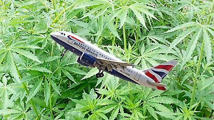 Αεροπλάνο έκανε… αναστροφή λόγω κάνναβης