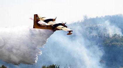 Πυρκαγιά σε δασική έκταση στην Ουρανούπολη Χαλκιδικής