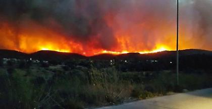 Μεγάλη πυρκαγιά στη Χίο - Σχεδόν ολοκληρωτική καταστροφή των μαστιχόδεντρων